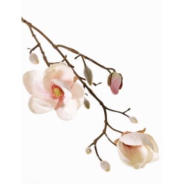 Magnolia en tissu KOSTAS, crème-rose, 55cm, Ø5-8cm