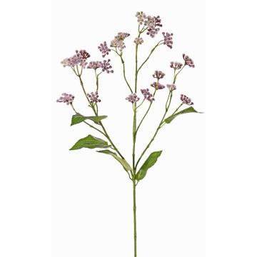 Fleur artificielle Eupatorium KORALIA, lilas, 80cm