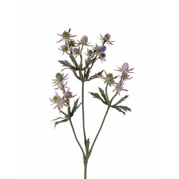 Chardon artificiel (Eryngium) KALYPSO, lilas, 65cm