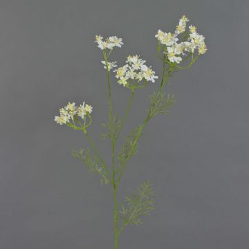 Carotte sauvage artificielle KALOMIRA, blanc, 85cm