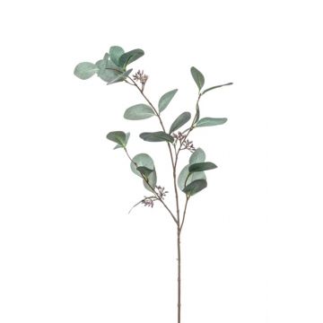 Fausse branche d'eucalyptus MAXEN avec fruits, vert-gris, 75cm