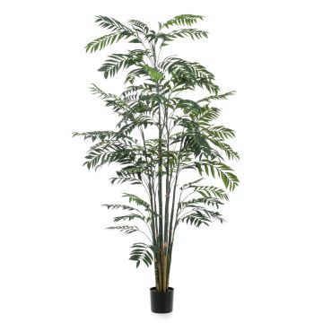 Palmier bambou décoratif MERIEL, 245cm