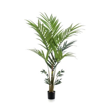 Faux palmier kentia NESTA, 180cm