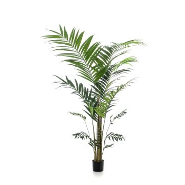 Faux palmier kentia NESTA, 210cm