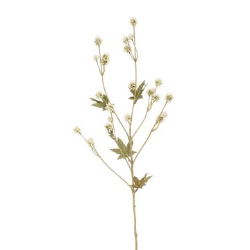 Fleur artificielle Sanicle PINKOLA, crème, 65cm