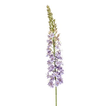 Fausse fleur Érémurus SKAISA, violet clair-or, 105cm