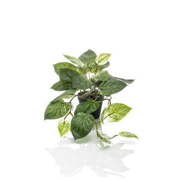 Pothos artificiel TREVA, vert-blanc, 55cm