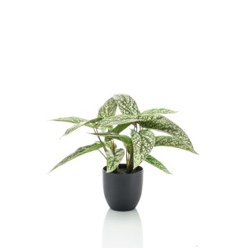 Calathéa Rufibarba artificiel VAIDA en pot décoratif, vert-blanc, 40cm