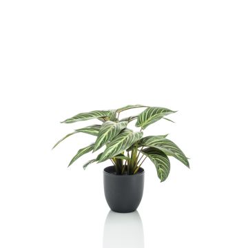 Calathea Zebrina artificiel VAIDA en pot décoratif, vert-blanc, 40cm