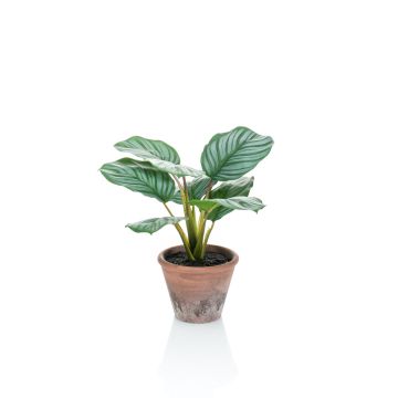 Plante artificielle Calathea Orbifolia ESMIE en pot de terre cuite, vert-blanc, 30cm