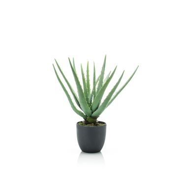 Aloe Vera artificiel EVELIO en pot décoratif, 35cm