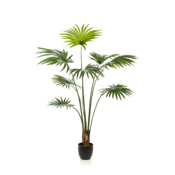Palmier artificiel Livistona FAVIOLA en pot décoratif, 160cm