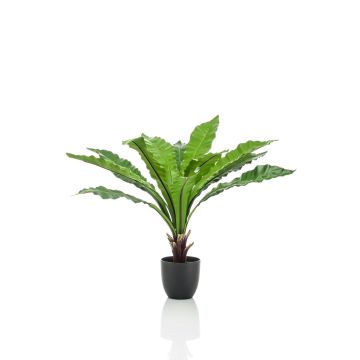 Fougère rayée artificielle DALIDA en pot décoratif, vert, 75cm