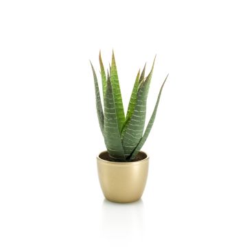 Aloe variegata synthétique MARTINEZ, pot en céramique doré, vert, 25cm, Ø17cm