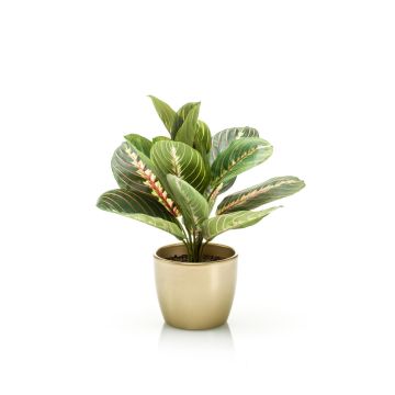 Plante artificielle Maranta SITULA, pot en céramique doré, vert-rouge, 30cm