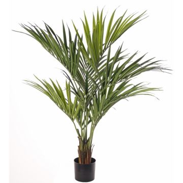 Faux palmier Kentia PAIGE, 130cm
