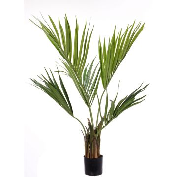 Faux palmier Kentia PAIGE, 105cm