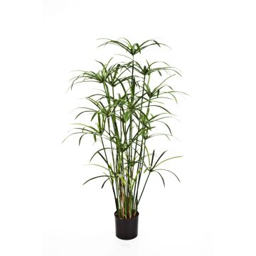 Plante artificielle Papyrus ALBY, vert, 125cm