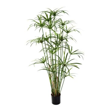 Plante artificielle Papyrus ALBY, vert, 155cm