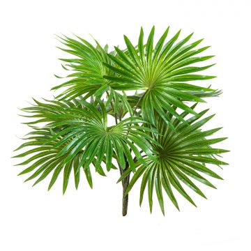 Palmier Washingtonia artificiel SCHEDIR sur piquet, 35cm