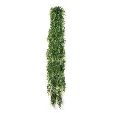 Chute de Pellaea rotundifolia artificielle PORRIMA sur piquet, vert, 140cm