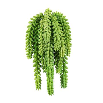 Sedum morganianum en plastique DIPHDA sur piquet, ignifugé, vert, 30cm