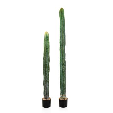 Cactus colonne artificiel ELKURUD, vert-rouge, 140cm