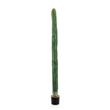 Cactus colonne artificiel ELKURUD, vert-rouge, 180cm