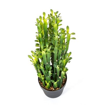 Euphorbia trigona artificiel KAROLIINA, vert, 65cm