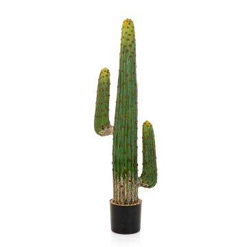 Cactus colonne artificiel GOMEISA, vert-rouge, 125cm
