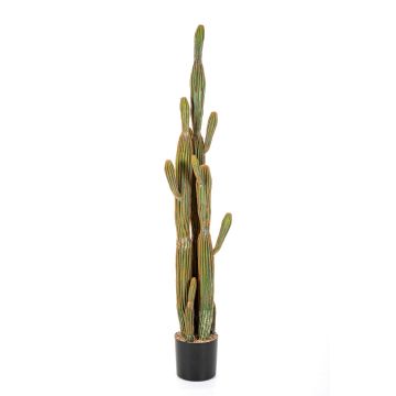 Cactus San Pedro artificiel GRUMIUM, vert-brun, 150cm