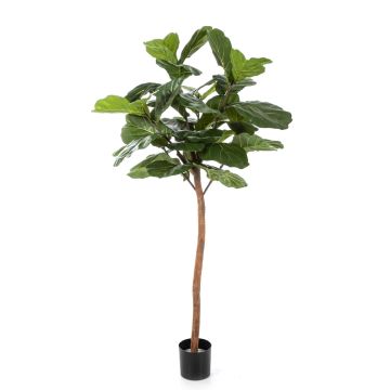 Ficus lyrata artificiel ADERITO, vrai tronc, vert, 170cm