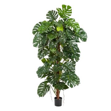 Philodendron Monstera Deliciosa artificiel MEBSUTA, 190cm