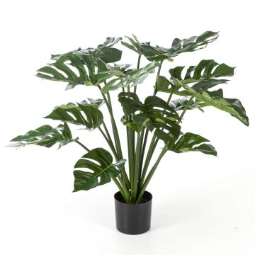 Philodendron Monstera Deliciosa artificiel MEISSA, 80cm