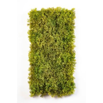 Tapis de mousse d'Islande artificiel MUSCIDA, vert-brun, diff. inflammable, 25x50cm