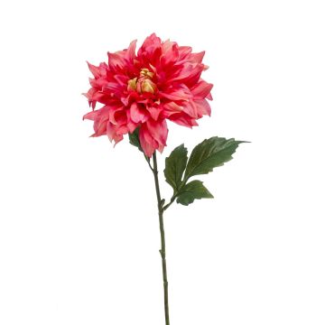 Dahlia décoratif NATSU, fuchsia-rose, 60cm