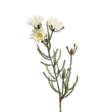 Fleur artificielle immortelle BEYA, crème, 60cm