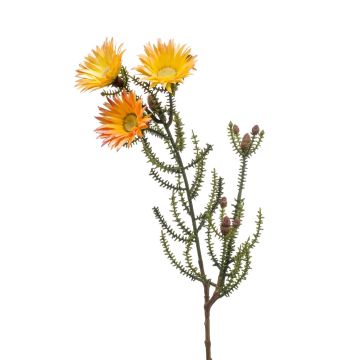 Fleur artificielle immortelle BEYA, jaune-orange, 60cm