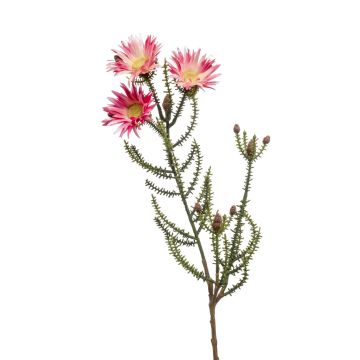 Fleur artificielle immortelle BEYA, rose-jaune, 60cm
