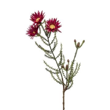 Fleur artificielle immortelle BEYA, rouge bordeaux, 60cm