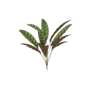 Fausse plante Calathea Makoyana WIDO sur piquet, vert-bordeaux, 70cm