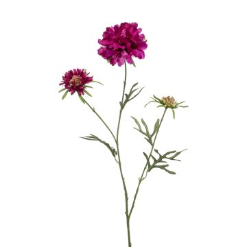 Fleur artificielle Scabiosa MARUA, violet, 80cm