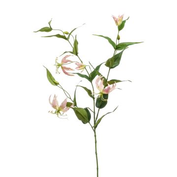 Gloriosa artificiel WARIS rose-crème, 120cm