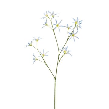 Fleur artificielle Tweedia solanoides MONGAI, bleu clair, 70cm