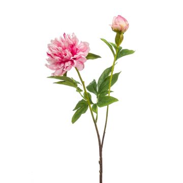 Pivoine décorative BADIS, rose, 75cm