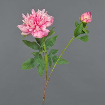 Pivoine décorative BADIS, rose, 75cm Pivoine décorative BADIS, rose, 75cm
