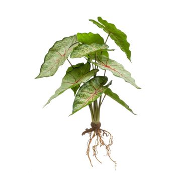 Caladium artificiel USAGI, piquet, racines, vert-rouge, 35cm