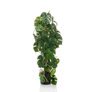 Plante artificielle Philodendron Monstera Deliciosa RONGPU, 75cm