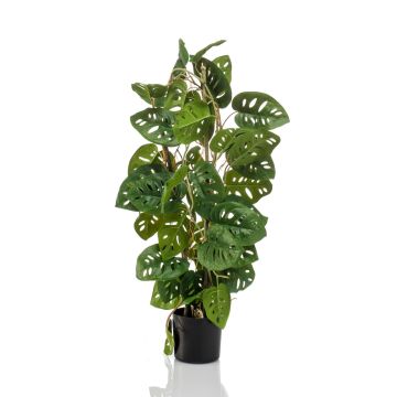 Plante décorative Philodendron Monstera Deliciosa LINLU, 75cm