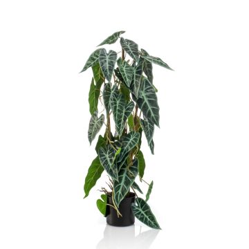 Fausse plante Alocasia Sanderiana SASORI, vert-blanc, 75cm